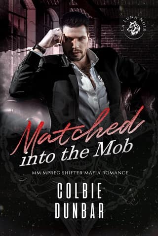 Matched into the Mob (The Wolves of La Luna Noir Book 2)