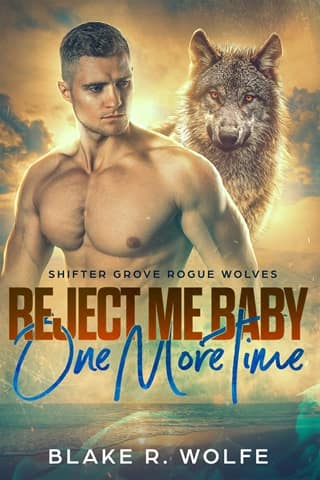 Reject Me Baby One More Time (Shifter Grove Rogue Wolves Book 4)