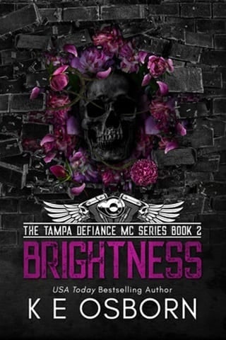 Brightness (The Tampa Defiance MC Book 2)