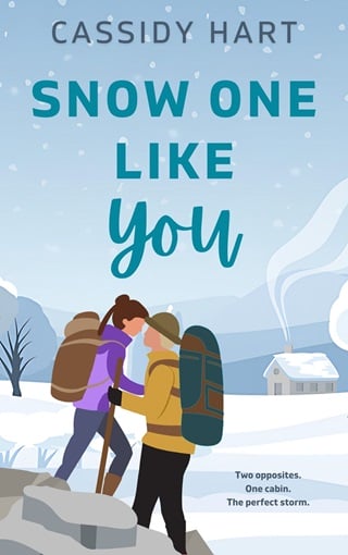 Snow One Like You: A Sweet Romcom Novella (The Meet Cute Series)