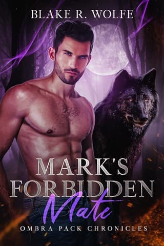 Mark's Forbidden Mate: MM Wolf Shifter Romance (Ombra Pack Chronicles Book 6)