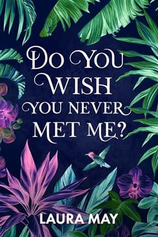 Do You Wish You Never Met Me?