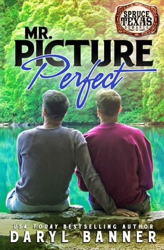 Mr. Picture Perfect