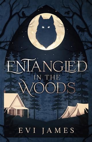 Entangled in the Woods (The North Woods Book 1)