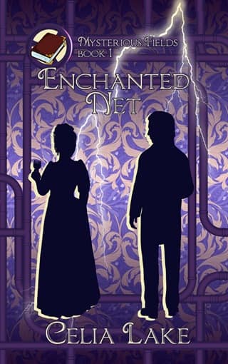 Enchanted Net (Mysterious Fields Book 1)