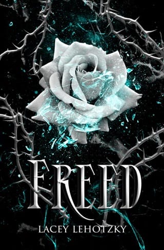 Freed (A Choice of Light and Dark Book 4)