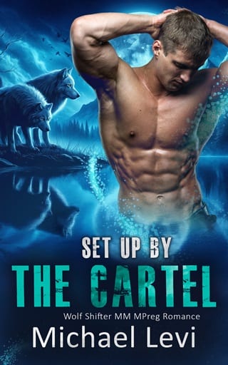 Set Up by the Cartel (Nightshade Wolves Book 5)