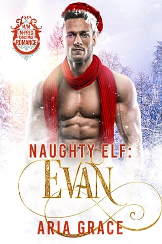 Naughty Elf: Evan (Santa's Naughty Elf Mates)