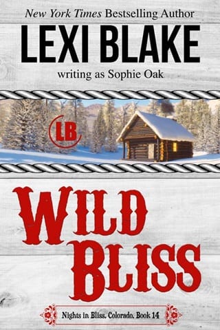 Wild Bliss (Nights in Bliss, Colorado Book 14)