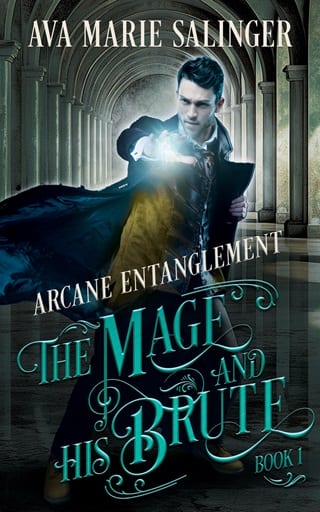 Arcane Entanglement (The Mage and His Brute Book 1)