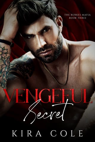 Vengeful Secret (The Burkes Mafia Book 3)