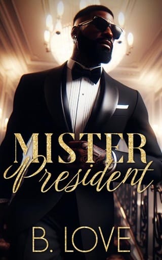 Mister President (Mister Book 13)