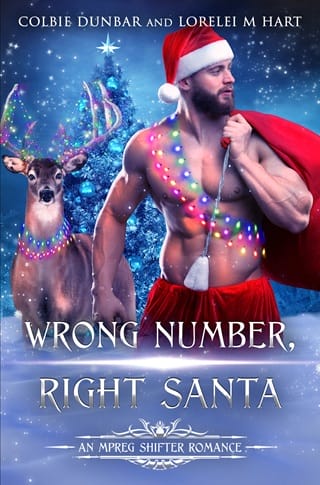 Wrong Number, Right Santa (Dial M For Mates Book 4)