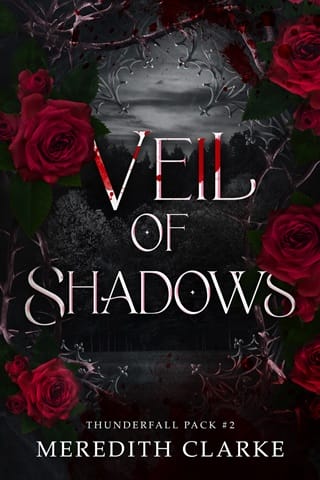 Veil of Shadows (Thunderfall Pack Book 2)