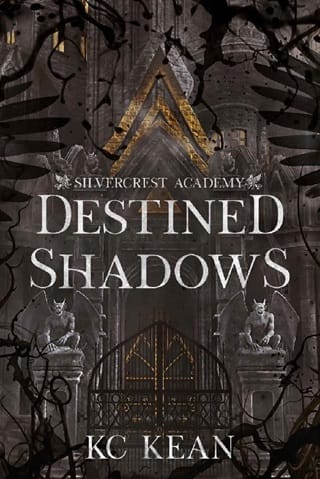 Destined Shadows (Silvercrest Academy Book 2)