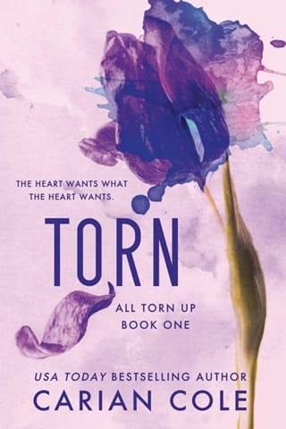 Torn (All Torn Up Book 1)