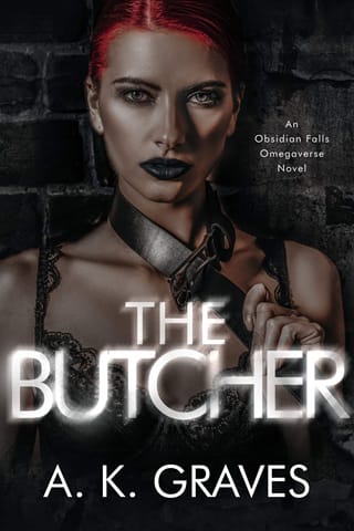 The Butcher (Killerverse Book 1)