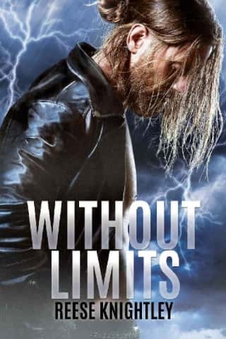 Without Limits (Cobalt Security Book 3)