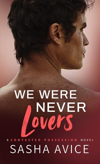 We Were Never Lovers (Contested Possession Book 5)