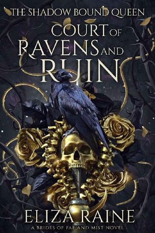 Court of Ravens and Ruin (The Shadow Bound Queen Book 1)