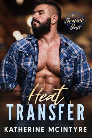 Heat Transfer (Brannon Boys Book 1)