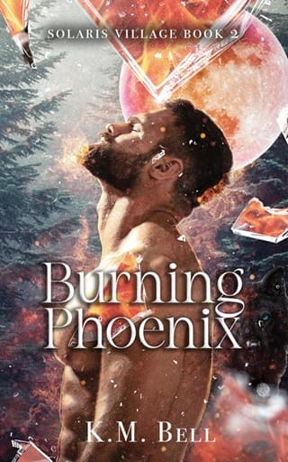 Burning Phoenix (Solaris Village Book 2)