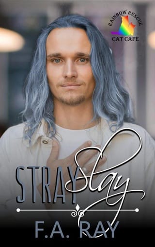 Stray Slay (Rainbow Rescue Cat Café Book 4)