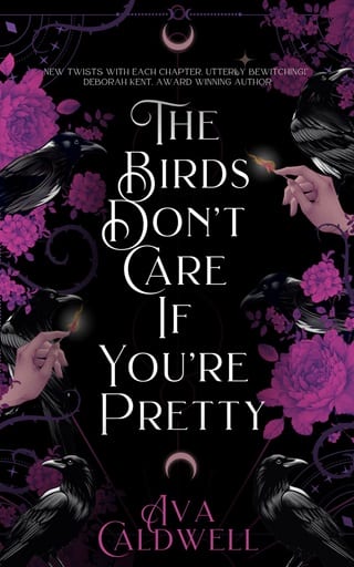 The Birds Don't Care If You're Pretty