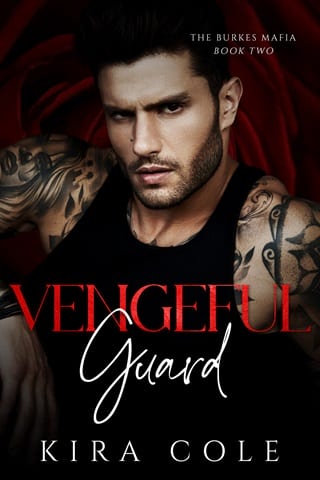 Vengeful Guard (Burkes Mafia Book 2)