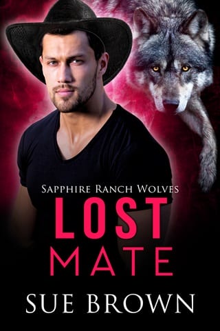 Lost Mate (Sapphire Ranch Wolves Book 4)