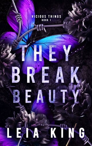 They Break Beauty (Vicious Things Book 1)