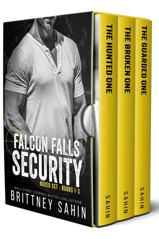 Falcon Falls Security Boxed Set Book 1-3