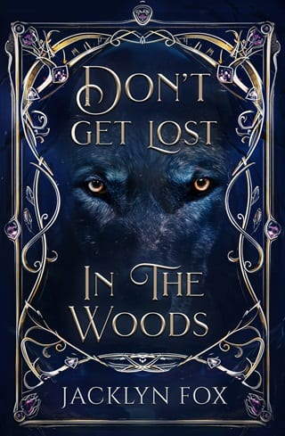 Don't Get Lost in the Woods (In The Woods Book 1)