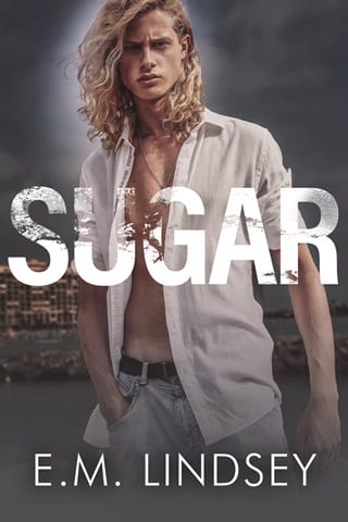 Sugar (The Beginning Of Always Book 3)