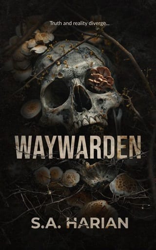 Waywarden (Briardark Book 2)