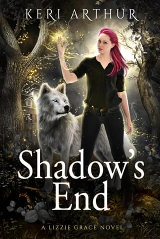 Shadow's End (Lizzie Grace Book 12)