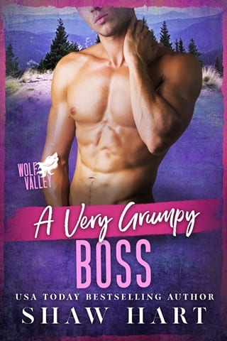 A Very Grumpy Boss (Wolf Valley: Grumps Book 4)