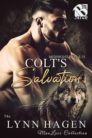 Colt's Salvation [Midnight Falls 15] (The Lynn Hagen ManLove Collection)