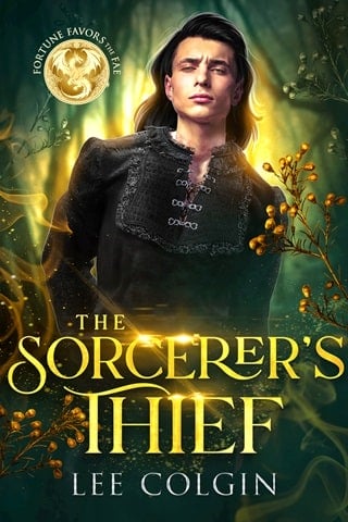 The Sorcerer's Thief